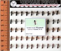 Мушка сухая ЧР Муравей с бисером кр Kumho №16